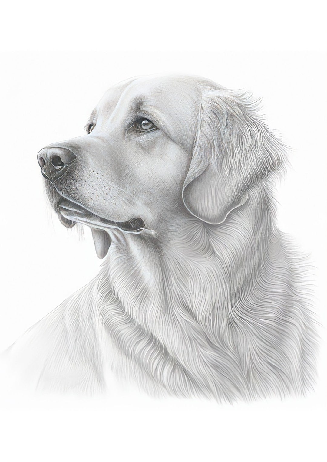 Dog Line Art Minimalist Wall Art Drawing Dogs & Pets Etsy