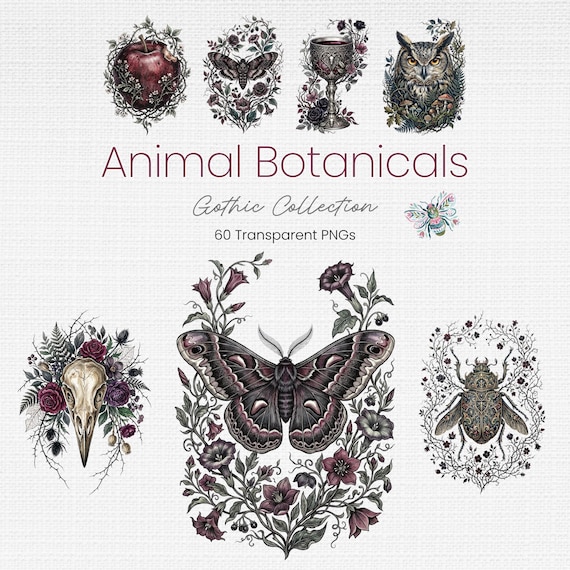 Gothic Clipart Bundle, 60 Dark Academia PNG Designs with Mystical Animals
