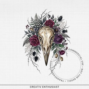 Skull with flowers and thorns on white background.