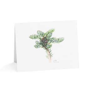 Watercolor Evergreen Branch Greeting Cards: Stationery Set