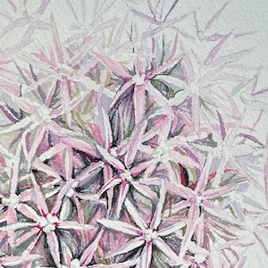Zierliche Allium Blume Aquarell: Filigrane botanische Garten Zeichnung - moderne Blumenkunst für Naturliebhaber