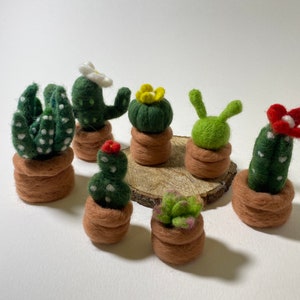 Felted Succulent plant in pot needle felt decor plant gift for plants lovers succulent pot Needle felt succulent pot plant succulent set
