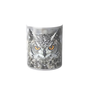Morphing Owl Mug: Heat Reactive Magic Ceramic Coffee Cup, Bird lover gift