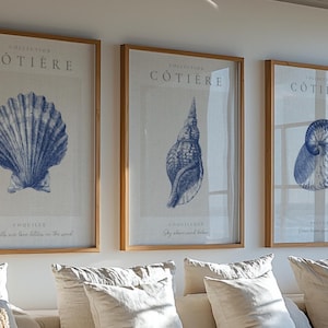 Juego de 3 láminas con motivos costeros de conchas marinas, decoración náutica para pared con temática playera (descarga digital).