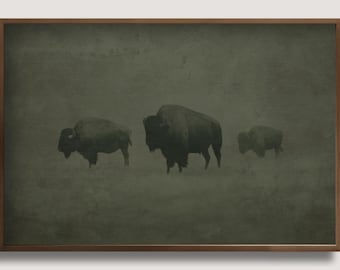 Bison Wand Kunst: Stimmungsvoller Büffel Western (Digitaler Download)