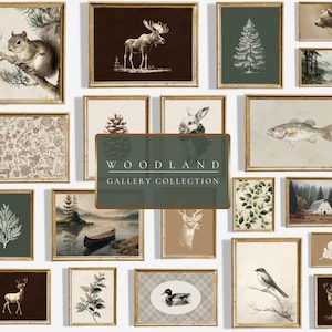 May include: A collection of framed woodland-themed art prints. The prints feature various animals, plants, and landscapes, including a squirrel, moose, bear, deer, and a lake scene. The frames have a gold finish, and the overall color palette is neutral with earthy tones.