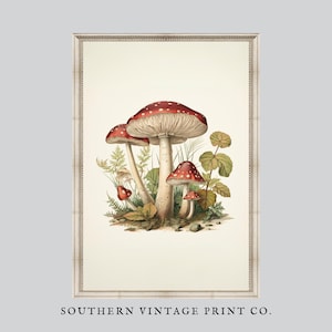 Vintage Mushroom Illustration Retro Art Print Instant Download PRINTABLE Toadstool Nursery Decoration SouthernVintagePrint B213