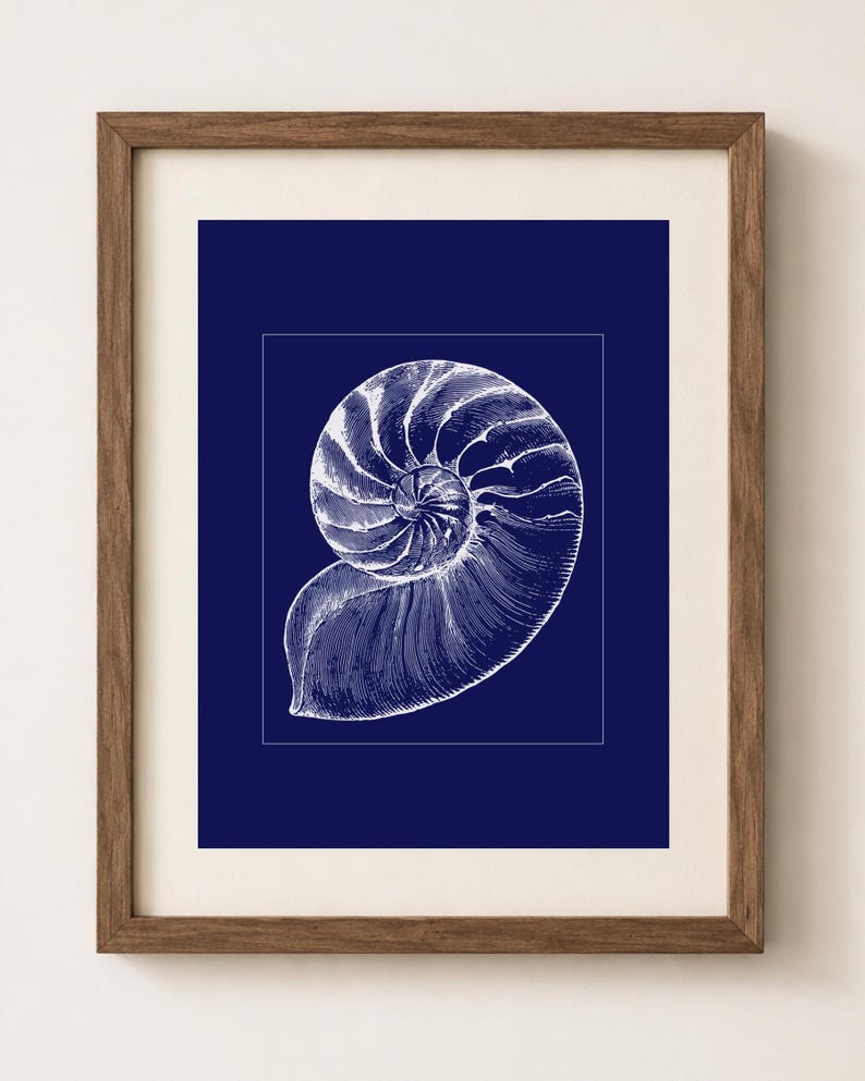 Coastal Shell Wall Art, Navy Nautical Print, Vintage Seashell Decor ...