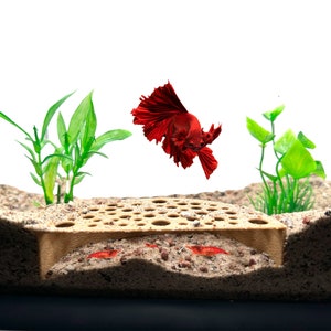 Shrimp Breeding Protector | Shrimp Breeding Cave Aquarium Tunnel