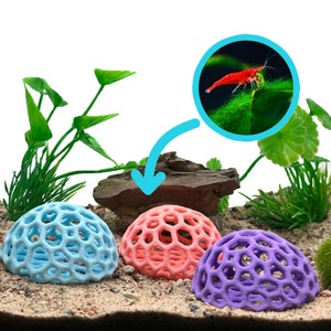 Colorful Shrimp Dome Hide | Aquarium Cherry Shrimp Hide