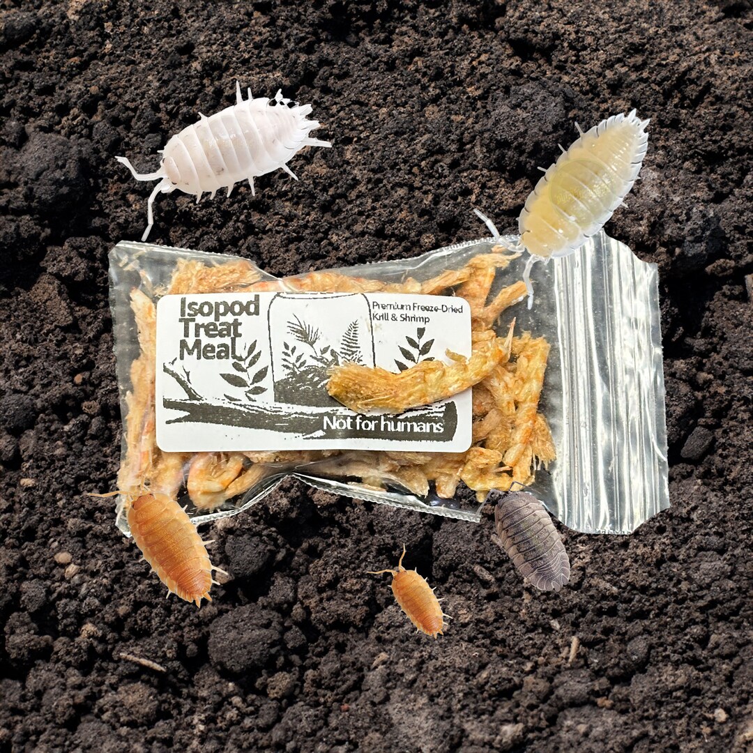 Isopod Freeze Dried Krill & Shrimp Snack Isopod Food Treat Etsy