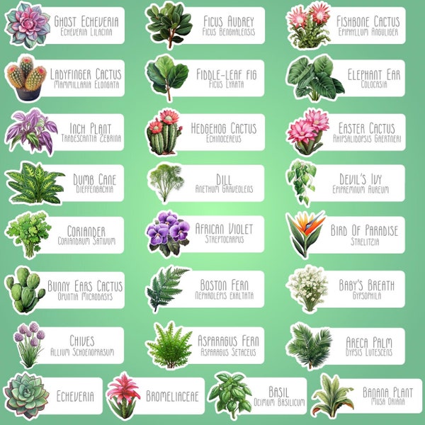 Plant Tag Stickers, Custom Made Houseplant Markers, Waterproof Herb And Garden Labels, Indoor & Outdoor Plant And Flower Name Tags