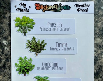 Autocollants pour plantes aromatiques, marqueurs pour plantes d'intérieur sur mesure, étiquettes imperméables pour plantes aromatiques et jardin, étiquettes pour plantes et fleurs d'intérieur et d'extérieur