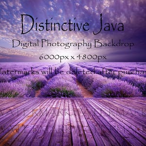 LAVENDER Backdrop: Crianças, Maternidade, Casamento, Retratos de Família, Fundo de Fotografia Digital, Foto Composta JPG, Download Instantâneo
