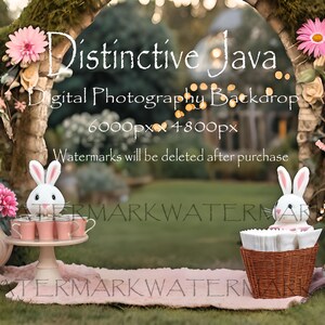 Märchen Kulisse: Kinder, Schulportrait, Geburtstagsbilder, Digitalfotografie Hintergrund, Foto Verbundstoff PNG, Digitaler Download