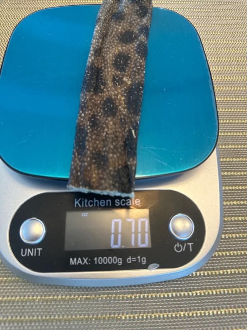 Dehydrated Wolffish Dog Treats, All Natural, Hand Rolled, Single