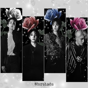 The Rose - Farbige Rosen Slogans