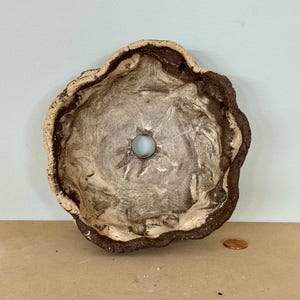 May include: A handmade ceramic bowl with a unique, organic shape. The bowl features a light brown rim, a dark brown exterior, and a marbled interior with a light blue glass bead in the center. The bowl is approximately 6 inches in diameter.