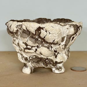 Limestone w/ legs - 4.5 x 3”