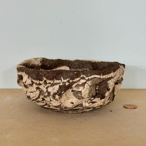 May include: A small, handmade bowl with a textured, organic appearance. The bowl features a light beige base with dark brown accents, creating a rustic aesthetic. A penny is next to the bowl for size reference.