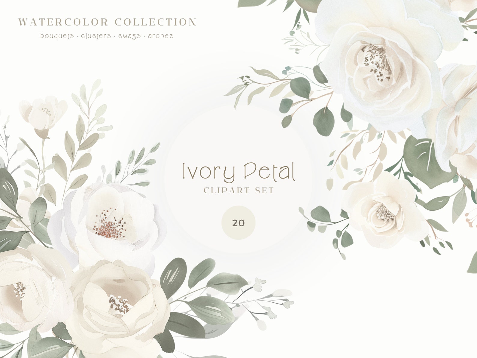 Ivory Flower Clipart Set | Peony & Ranunculus Wedding Graphics (digital ...