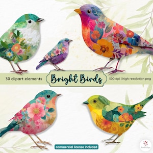 Puede incluir: Cinco ilustraciones de pájaros coloridos con diseños florales. Los pájaros presentan una gama de colores, incluyendo turquesa, morado y amarillo. El texto "Bright Birds", "30 elementos de clipart" y "commercial license included" están incluidos.