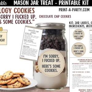 Pode incluir: Um kit de biscoitos em pote Mason com o rótulo "I'm sorry, I fucked up. Here's some cookies." O kit inclui ingredientes para biscoitos com pepitas de chocolate, um prato de biscoitos assados e instruções.