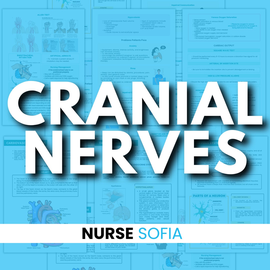 Cranial Nerves Cheat Sheet Lesson Instant PDF Printable - Etsy
