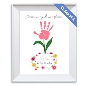 May include: A framed print featuring a handprint transformed into a flower. The flower is pink with green leaves and a stem. The print includes the text "Gracias por ayudarme a florecer!" and "Feliz Día de los Abuelos" in a floral frame.