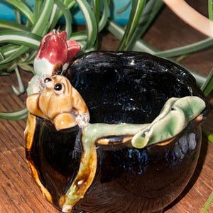 May include: A small, black ceramic planter with a glossy finish. The planter is adorned with a sculpted, tan-colored creature and a red flower. Green leaves and a brown stem wrap around the planter's edge. The planter is suitable for small plants.