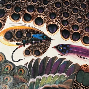 May include: A book cover featuring a variety of colorful bird feathers, including peacock, pheasant, and other exotic species. The title "Volume 1 - Birds" is printed in blue on a white background.