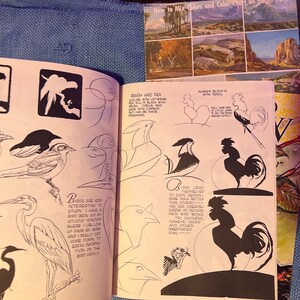 May include: Open book with bird illustrations and text. The pages show various bird drawings, including outlines and silhouettes of different species. A smaller book on top displays landscape paintings and color charts.