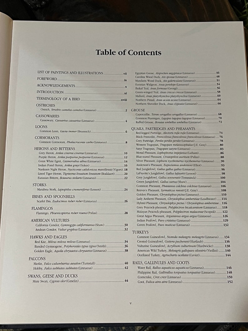May include: A table of contents page from a book about birds. The page lists different types of birds, including ostriches, cassowaries, loons, cormorants, herons, bitterns, storks, ibises, spoonbills, flamingos, American vultures, hawks, eagles, falcons, merlins, swans, geese, and ducks. The page also includes a list of quails, partridges, and pheasants.