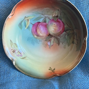 Antique Bavarian Bowl Hand Painted Porcelain J & C Bavaria Louise Jaeger and Co.