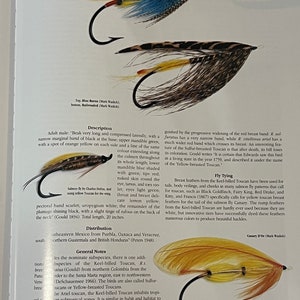 May include: Two illustrations of a Keel-billed Toucan, a type of bird with a long, colorful beak. The illustrations show the bird's distinctive features, including its bright yellow breast, red beak, and black and green markings. The text below the illustrations provides information about the bird's physical characteristics, distribution, and use in fly tying.
