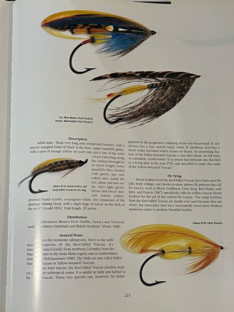 May include: Two illustrations of a Keel-billed Toucan, a type of bird with a long, colorful beak. The illustrations show the bird's distinctive features, including its bright yellow breast, red beak, and black and green markings. The text below the illustrations provides information about the bird's physical characteristics, distribution, and use in fly tying.