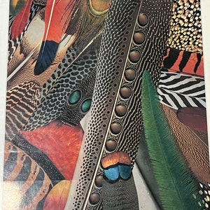 May include: A close-up of a collection of colorful feathers, including peacock, pheasant, and other exotic birds. The feathers are arranged in a pattern, with the tips of the feathers overlapping. The colors are vibrant and rich, with shades of blue, green, red, and brown.