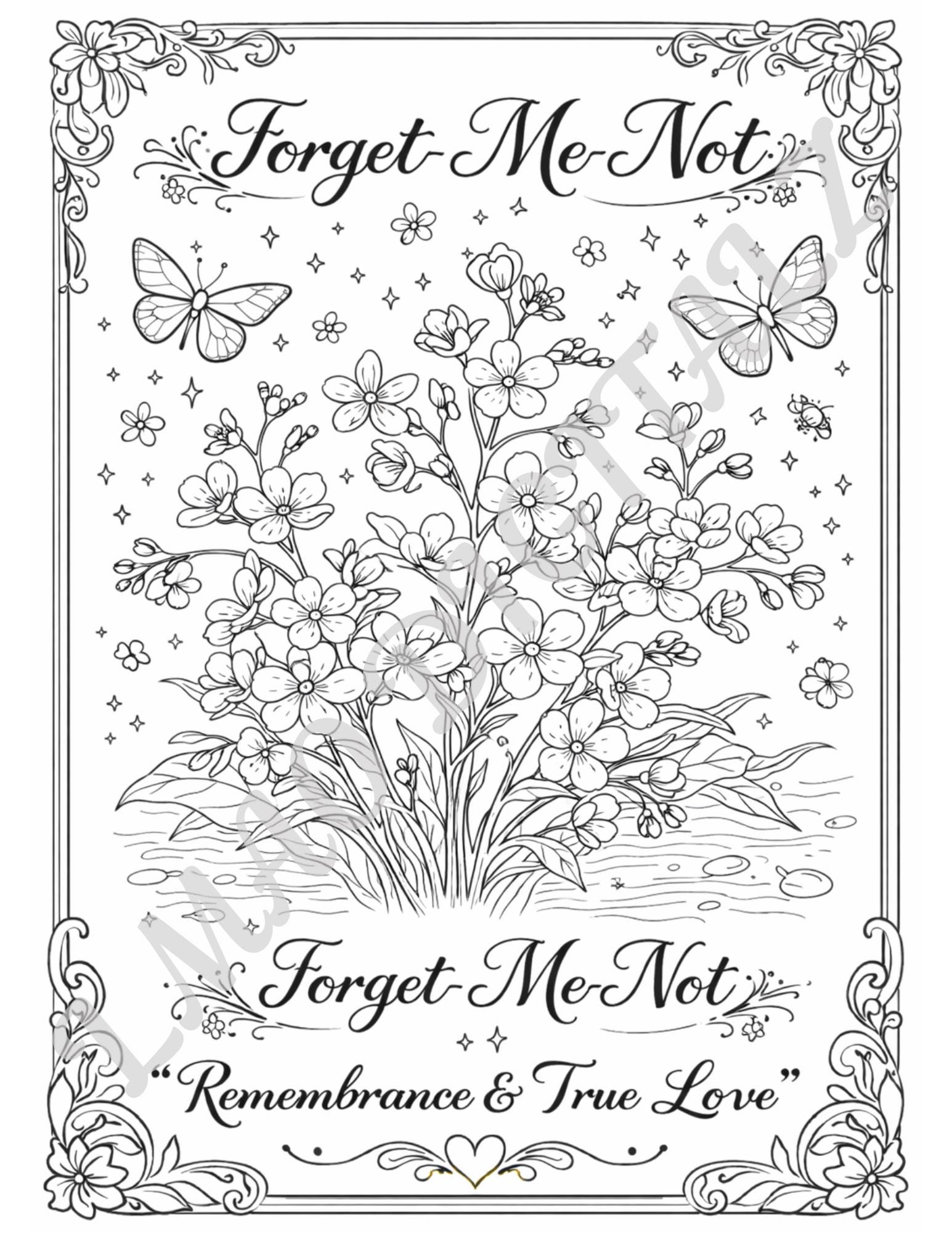 Forget Me Not Coloring Page – Language of Flowers, Remembrance Art ...