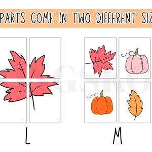May include: The image shows autumn-themed clip art in two sizes. The clip art includes a red maple leaf, a pink leaf, a pink pumpkin, an orange pumpkin, and an orange leaf. The text at the top says "CLIPARTS COME IN TWO DIFFERENT SIZES."