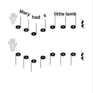 Può includere: Un foglio di musica con il testo e le note musicali della canzone "Mary Had a Little Lamb". Le note sono scritte in chiave di violino e il testo è stampato in nero.