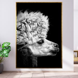 Alpaca profiel canvas, dierlijke muur kunst, zwart-witte alpaca print, muur kunst canvas design, klaar om op te hangen Home decor