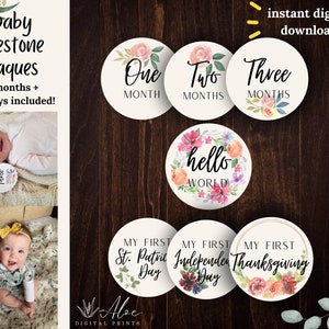 Baby Monthly Milestone Plaques | Floral l Bonus Nursery Poster| Instant Download | Capture the Cuteness