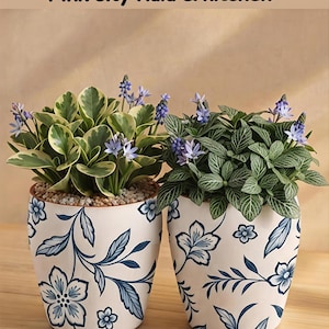 Könnte beinhalten: Zwei weiße Keramik-Pflanzgefäße mit blauem Blumenmuster, die jeweils eine kleine grüne Pflanze mit winzigen violetten Blüten enthalten. Der Text Pink city Kala & kitchen steht über den Töpfen. Die Töpfe haben eine abgerundete Form.