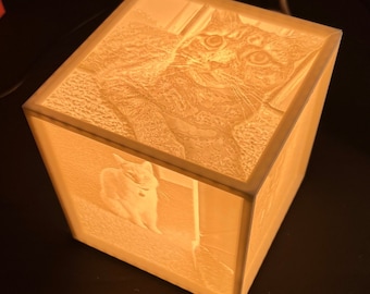 May include: A white cube-shaped night light with a 3D image of a cat on each side. The light is illuminated, casting a warm glow.