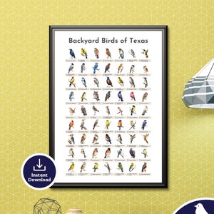 Backyard Birds of Texas Birding Checklist stampabile digitale da scaricare, Elenco della vita degli uccelli, Regali per gli uccelli, Idee regalo per gli amanti degli uccelli