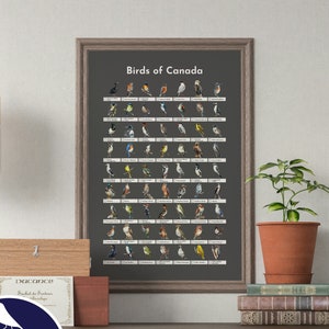 Birds of Canada Checklist Poster, Birding Checklist, Birding Life List, Birding Gifts, Bird Lover Gift Ideas