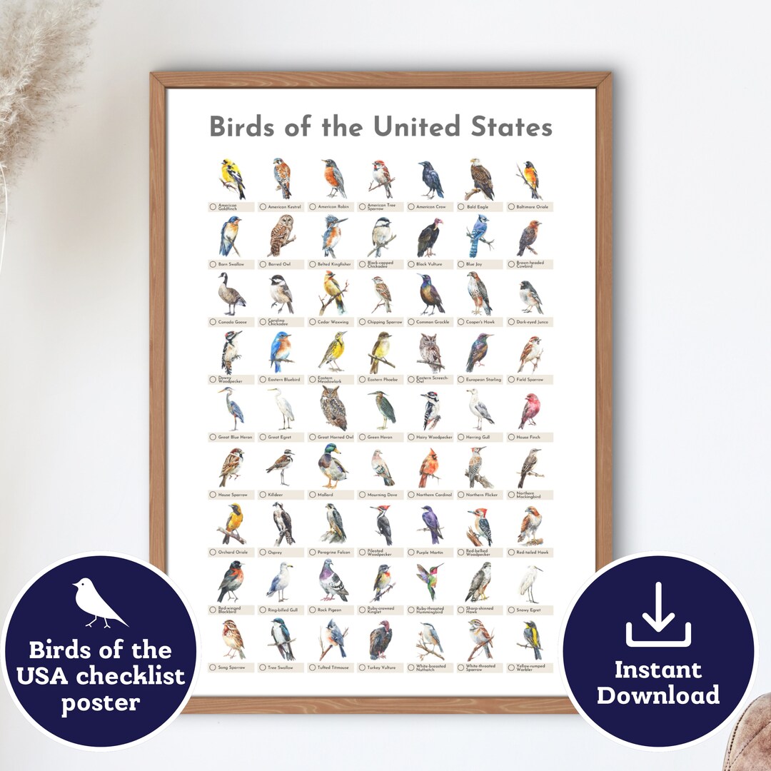 Birding Checklist Printable Digital Download, Birds of the USA