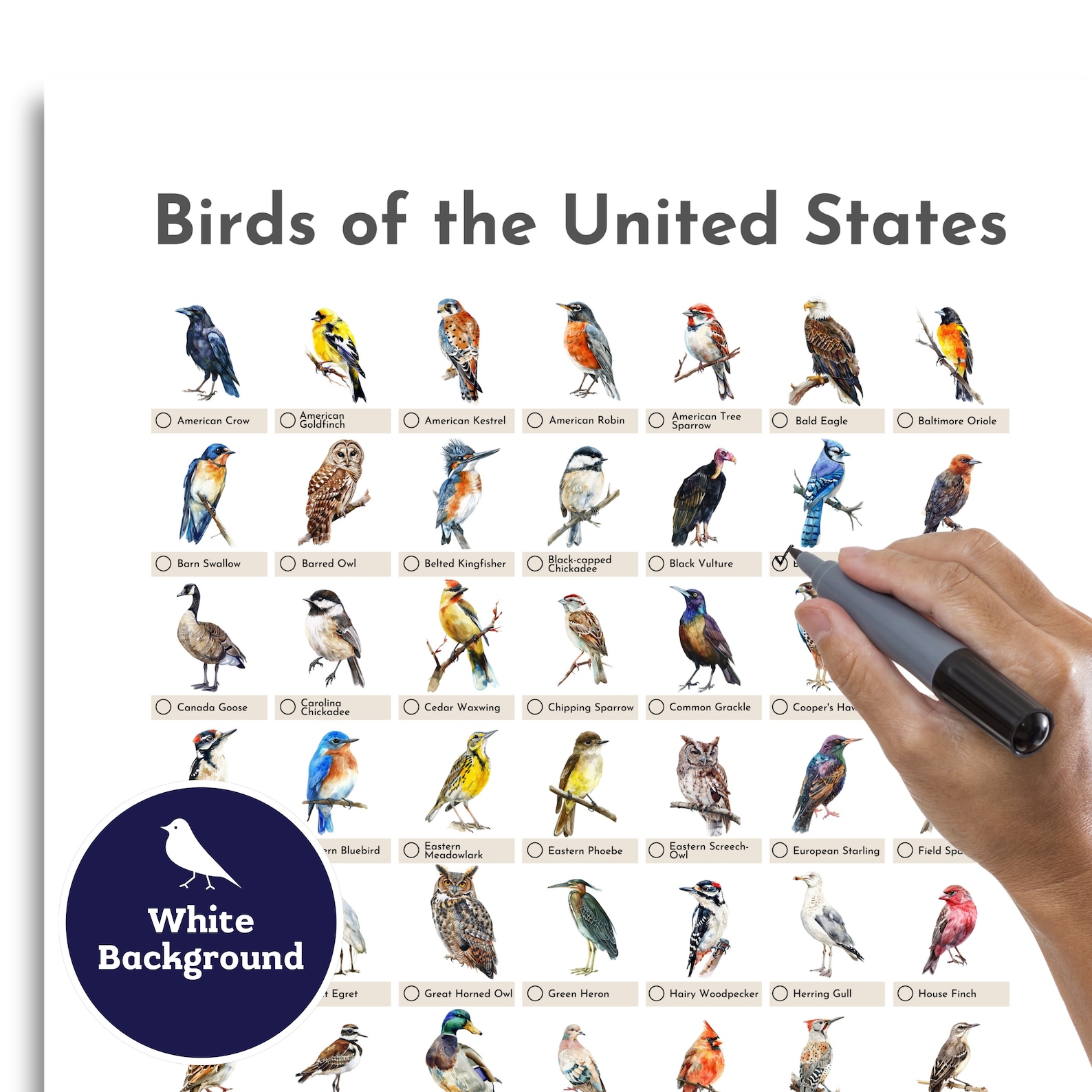 Birding Checklist Printable Digital Download, Birds of the USA ...