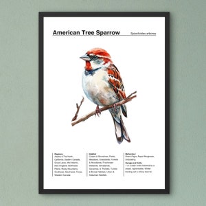 Bird Identification Poster, Birding Poster, American Tree Sparrow Poster, Bird Watercolor Art, Backyard Bird Poster, Classroom Wall Art