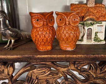 Vintage Owl Salt and Pepper Shakers